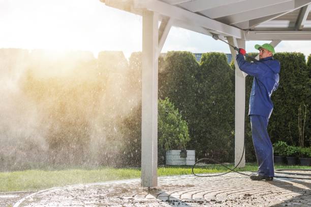 Best Sidewalk and Walkway Cleaning  in Lockport, LA